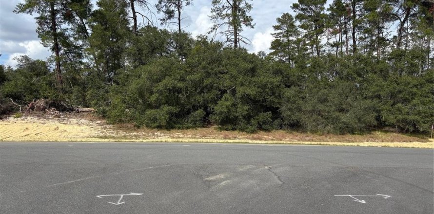 Land in Ocala, Florida № 1564676