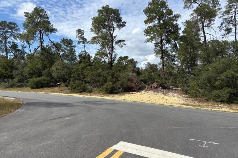 Land in Ocala, Florida № 1564676 - photo 5