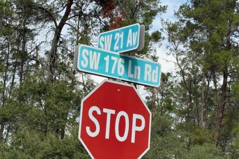 Land in Ocala, Florida № 1564676 - photo 3