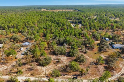 Terrain à vendre à Dunnellon, Floride № 2223124 - photo 6