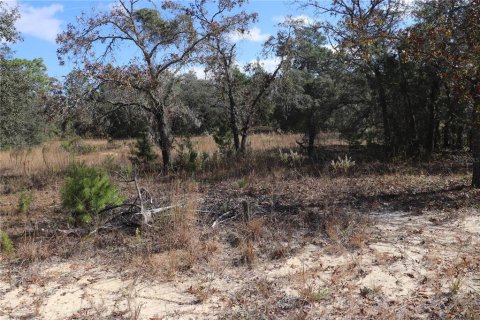 Terrain à vendre à Dunnellon, Floride № 2223124 - photo 2