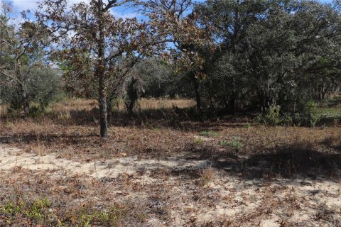 Terrain à vendre à Dunnellon, Floride № 2223124 - photo 3