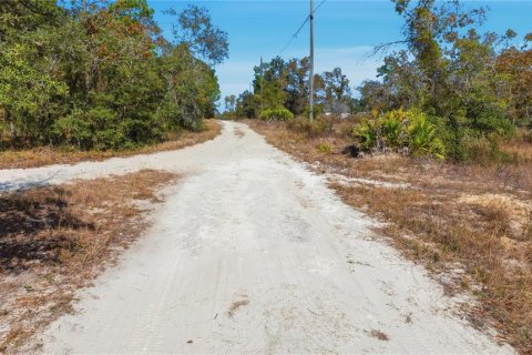 Terrain à vendre à Dunnellon, Floride № 2223124 - photo 4