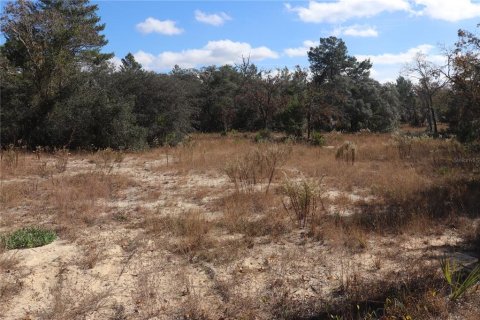 Terrain à Dunnellon, Floride № 2223124