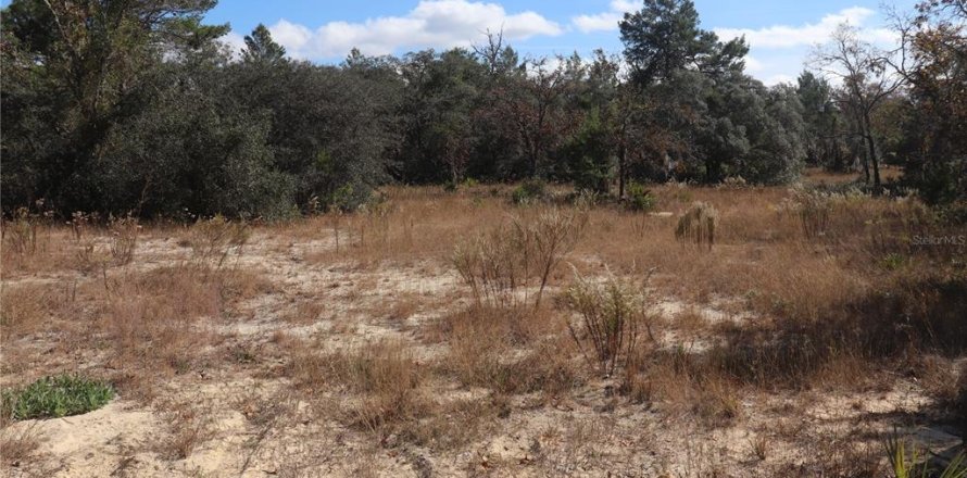 Terrain à Dunnellon, Floride № 2223124
