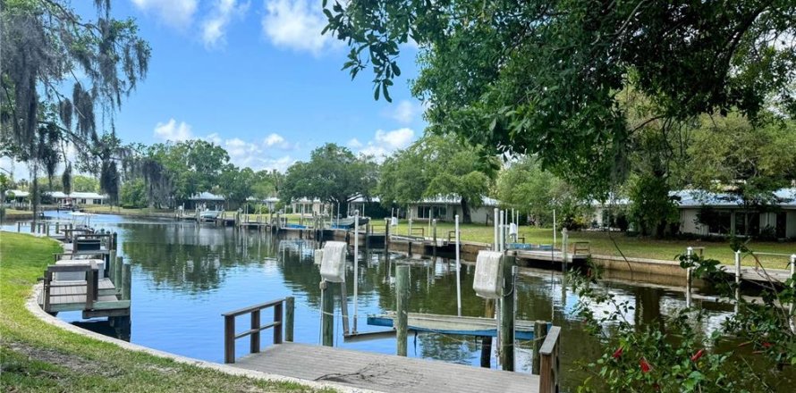 Condo à Crystal River, Floride, 2 chambres № 1681987