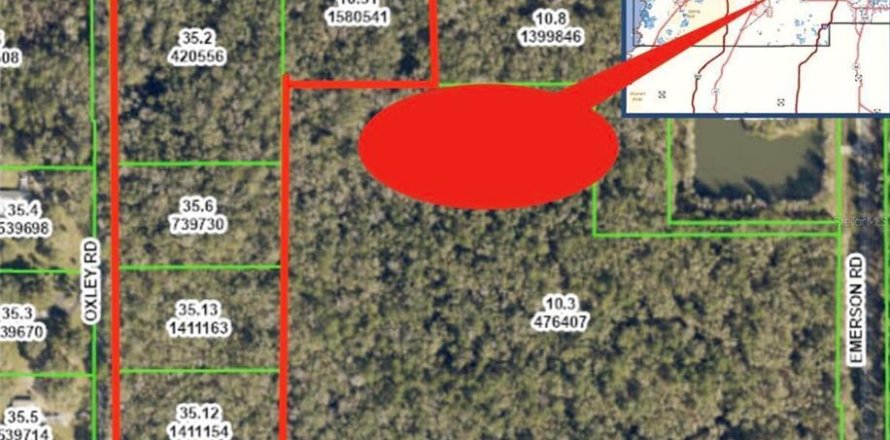 Terrain à Brooksville, Floride № 2406340