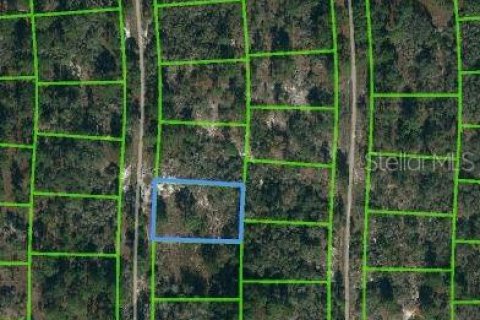 Land in Lake Placid, Florida № 2223992