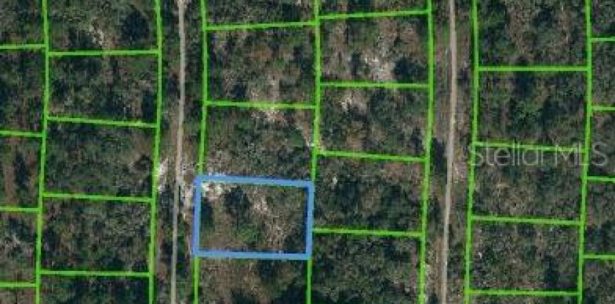 Land in Lake Placid, Florida № 2223992