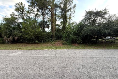 Land in LaBelle, Florida № 2163868 - photo 4