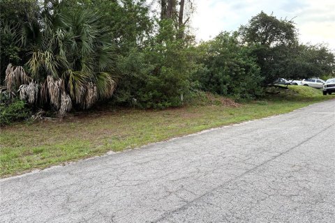 Land in LaBelle, Florida № 2163868 - photo 5