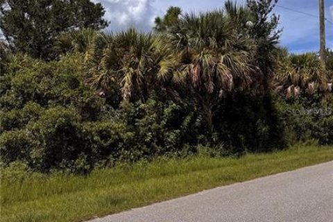 Land in Port Charlotte, Florida № 2165606 - photo 2