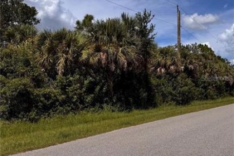Land in Port Charlotte, Florida № 2165606 - photo 6