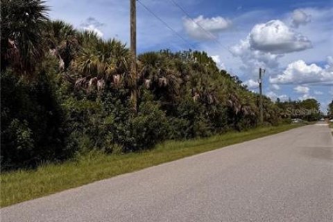 Land in Port Charlotte, Florida № 2165606 - photo 8