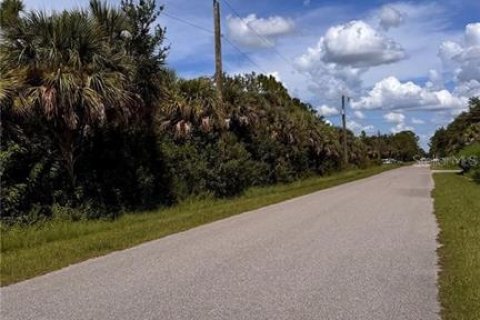 Land in Port Charlotte, Florida № 2165606 - photo 7