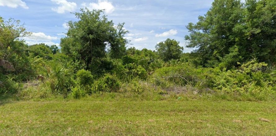 Land in Port Charlotte, Florida № 2163142