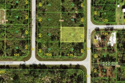 Land in Port Charlotte, Florida № 2163142 - photo 2