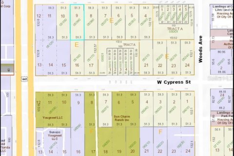 Terreno en venta en Orlando, Florida № 1906356 - foto 4