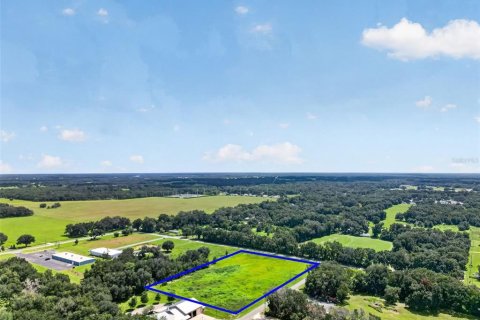 Land in Bushnell, Florida № 2391327