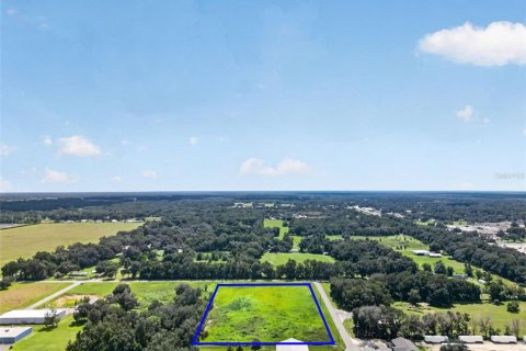 Land in Bushnell, Florida № 2391327 - photo 2