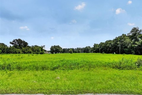 Land in Bushnell, Florida № 2391327 - photo 4