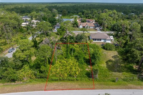Land in North Port, Florida № 2122204 - photo 13