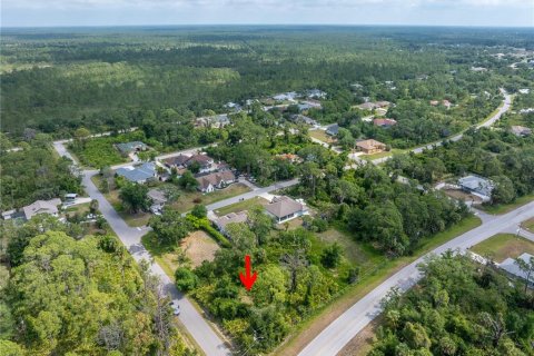 Land in North Port, Florida № 2122204 - photo 9