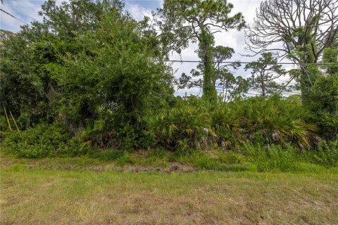 Land in North Port, Florida № 2122204 - photo 10