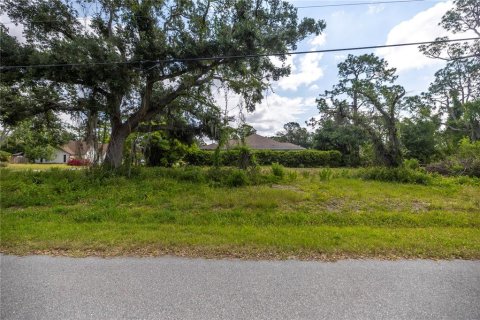 Land in North Port, Florida № 2122204 - photo 8