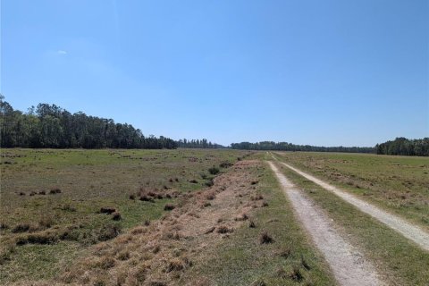Land in Polk City, Florida № 2212277