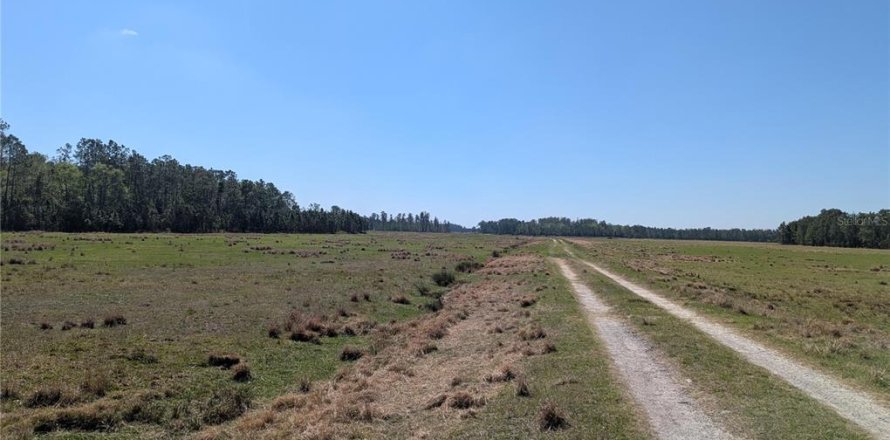 Terrain à Polk City, Floride № 2212277