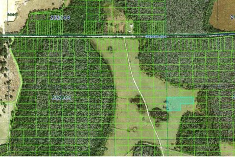 Terrain à vendre à Polk City, Floride № 2212277 - photo 2
