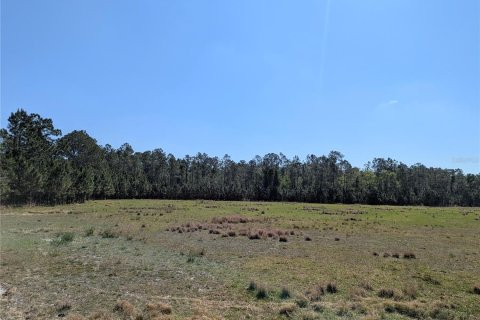 Terrain à vendre à Polk City, Floride № 2212277 - photo 4