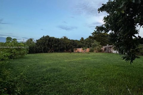House in Homestead, Florida 4 bedrooms, 186.92 sq.m. № 1930111 - photo 11