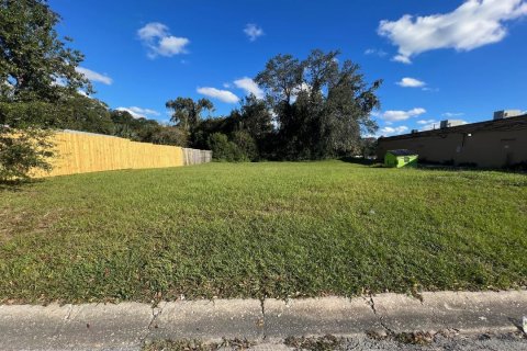 Land in Jacksonville, Florida № 801703 - photo 1