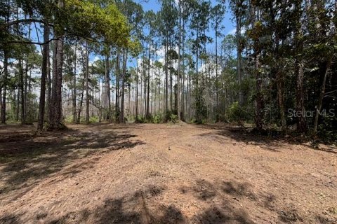 Land in DeLand, Florida № 2225236 - photo 4