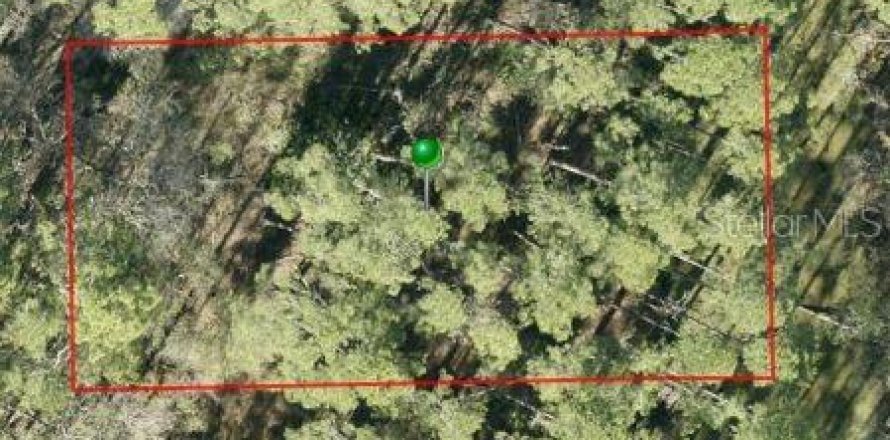Land in DeLand, Florida № 2225236