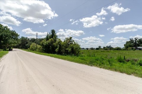 Купить земельный участок в Сан-Антонио, Флорида № 2233563 - фото 15