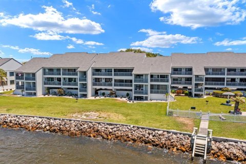 Condo in Ruskin, Florida, 2 bedrooms № 2155813 - photo 23
