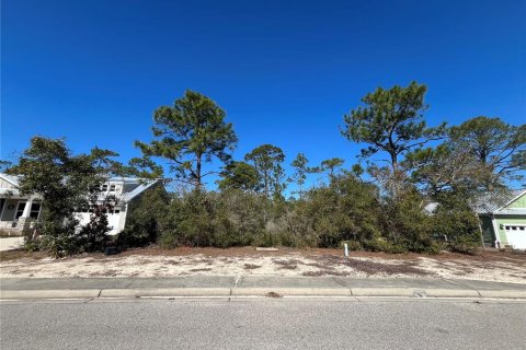 Land in Carrabelle, Florida № 2162512