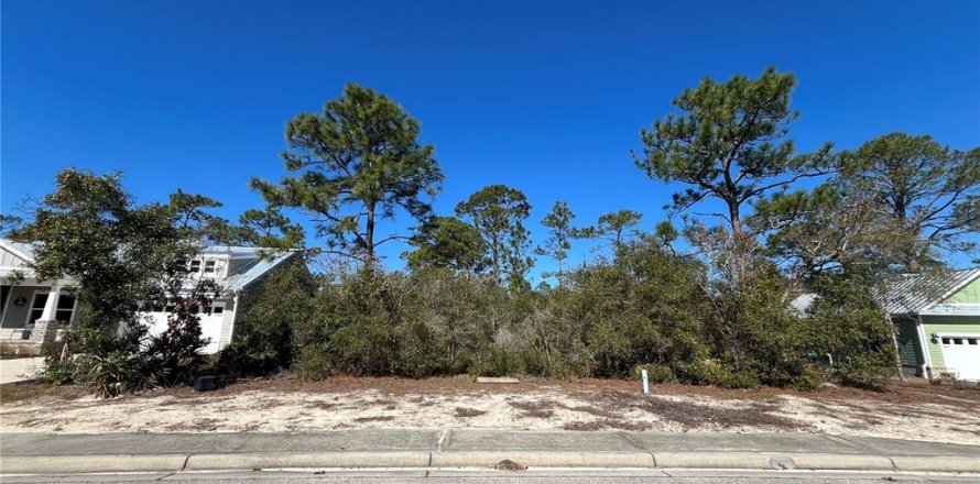 Land in Carrabelle, Florida № 2162512