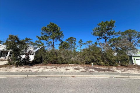 Land in Carrabelle, Florida № 2162512 - photo 2