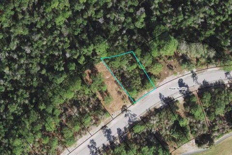 Land in Carrabelle, Florida № 2162512 - photo 10
