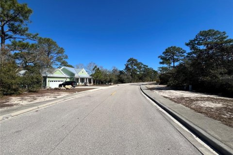Land in Carrabelle, Florida № 2162512 - photo 3