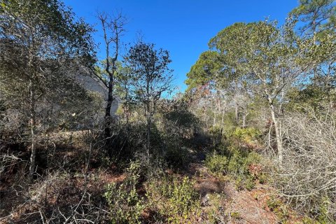 Land in Carrabelle, Florida № 2162512 - photo 6