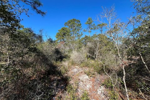 Land in Carrabelle, Florida № 2162512 - photo 4