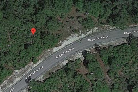 Land in Carrabelle, Florida № 2162512 - photo 9