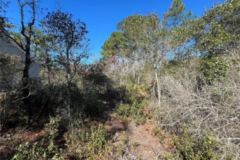 Land in Carrabelle, Florida № 2162512 - photo 5