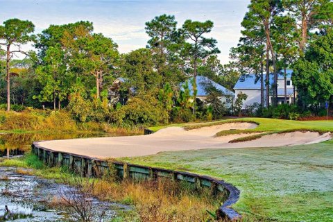 Land in Carrabelle, Florida № 2162512 - photo 18