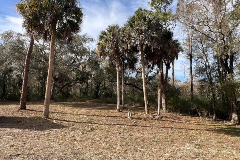 House in Crystal River, Florida 4 bedrooms, 186.73 sq.m. № 2213596 - photo 20